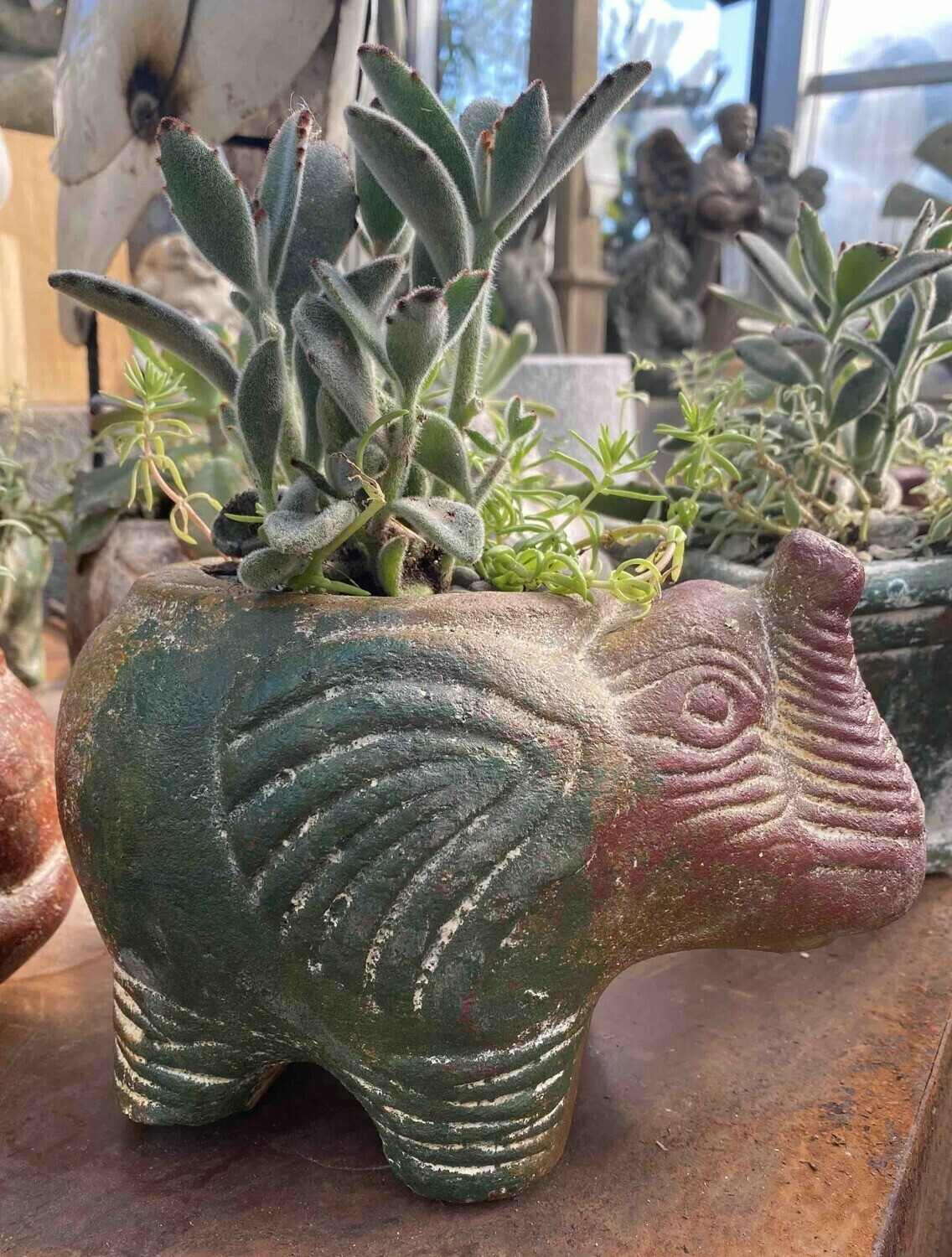 Succulent Planter