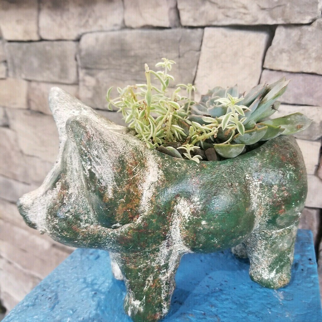 Succulent Planter