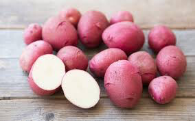Potato &#39;Red Norland Seed&#39; Non-GMO