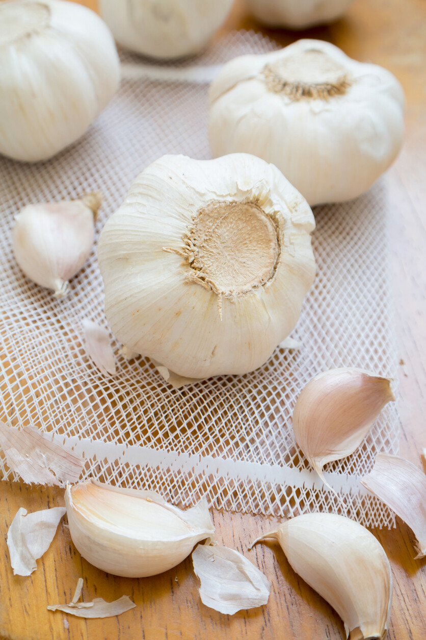 Garlic California Softneck Sets qty.3 non gmo