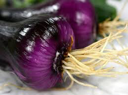 Onion Dutch Red Sets qty. 75 non gmo