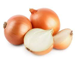 Onion Stuttgarter Yellow Sets qty.100 non gmo