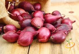 Onion Dutch Red Sets qty. 75 non gmo