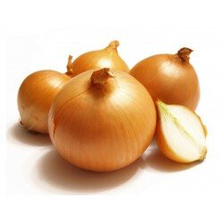 Onion Dutch Yellow Sets qty.75 non gmo