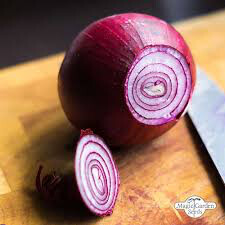 Onion Red Baron Sets qty.100 non gmo