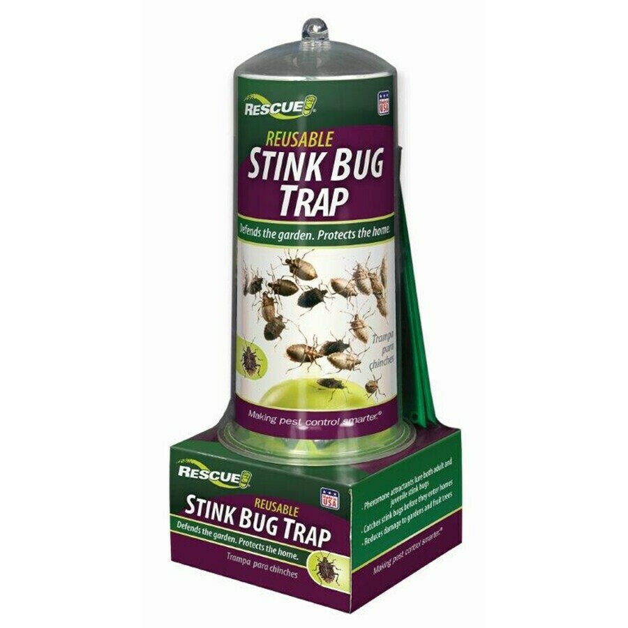 Stink Bug Trap