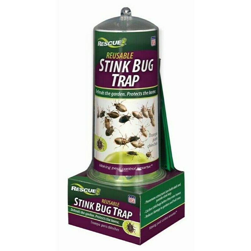 Stink Bug Trap