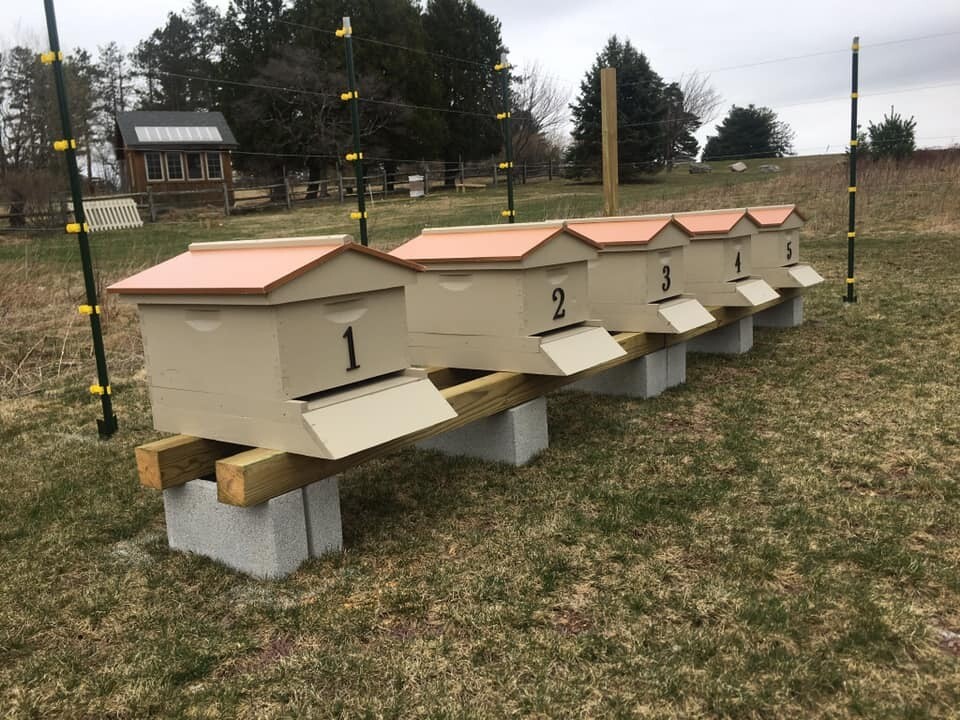  Honey Locally made/havested