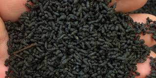 Organic Earthworm Castings