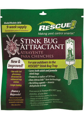 Stink Bug Attractant