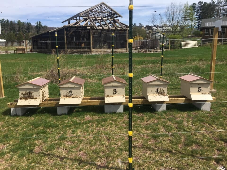  Honey Locally made/havested