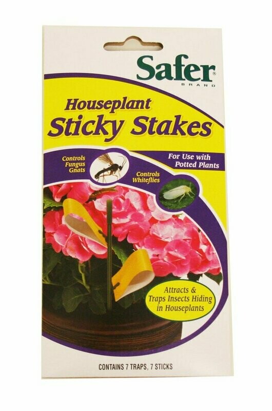 Houseplant Sticky Stakes