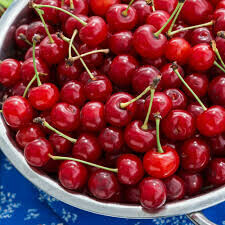  cherry tart Prunus cerasus ‘Montmorency&#39;