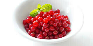 Currant Ribes rubrum &#39;Red Lake&#39;