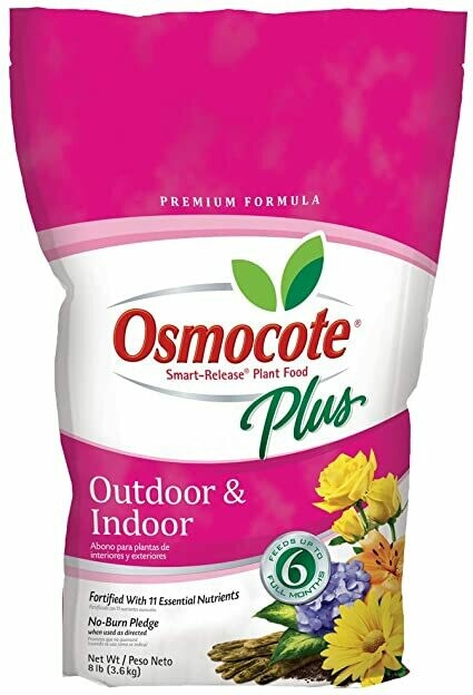 Osmocote Plus  Hybrid Poplar Trees