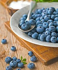 Blueberry Vaccinium corymbosum &#39;Patriot&#39;