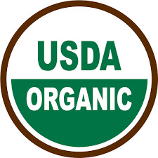 Ruta graveolens Organic