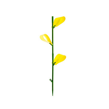 Houseplant Sticky Stakes