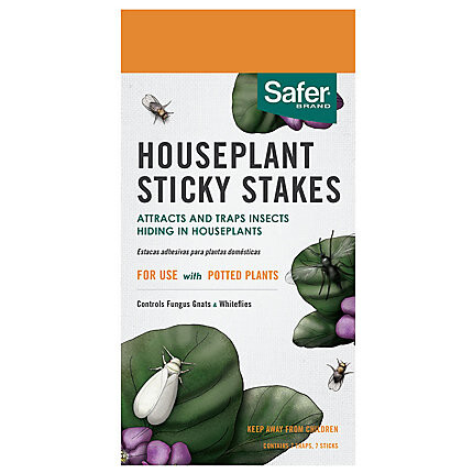 Houseplant Sticky Stakes
