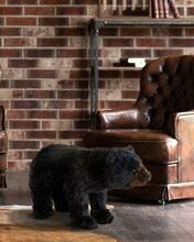 Bear Footrest Black 