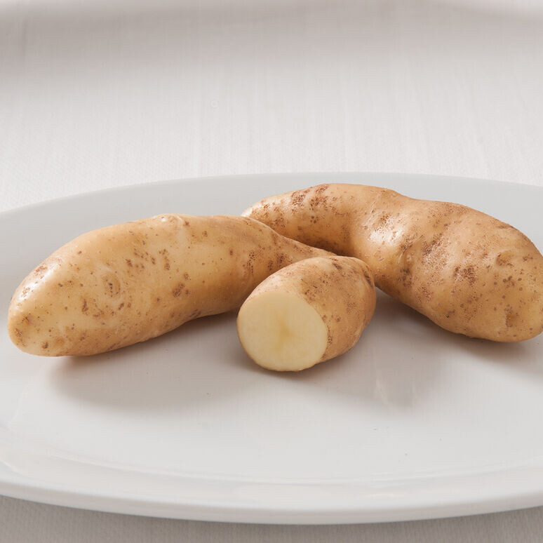 Potato &#39;Russian Banana&#39; Bulbs