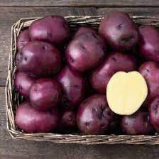 Potato &#39;Huckleberry Gold&#39; Bulbs