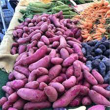 Potato &#39;Amarosa&#39; Bulbs