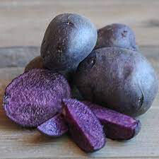 Potato 'Purple Majesty' Bulbs gmo free