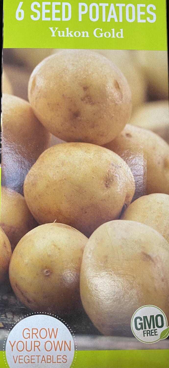 Potato 'Yukon Gold' Seed Non-GMO