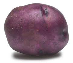 Potato &#39;Huckleberry Gold&#39; Bulbs