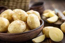 Potato 'Cal White' Bulbs