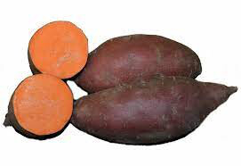 Sweet Potato 'Burgundy' 1 Bulb
