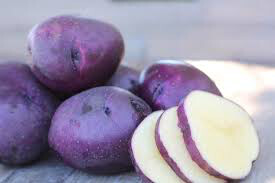 Potato &#39;Huckleberry Gold&#39; Bulbs