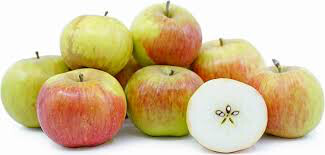 Malus domestica &#39;Cortland&#39;
