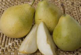 Pyrus communis &#39;Moonglow&#39;