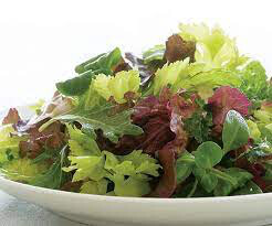 Lettuce city garden 4.5&quot;