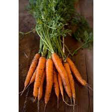 Carrot sweetness 4&quot;