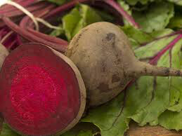 Beet red ace 4&quot;