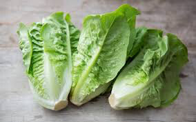 Lettuce Romaine Organic 6-pack 