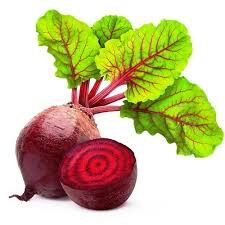 Beet red ace 4&quot;