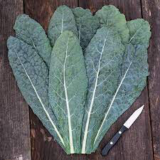 Kale Toscano Organic 6 pack