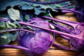 Kohlrabi Kossak Purple Organic 6-pack 