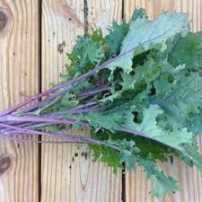 Kale Russian Red Organic 6 pack