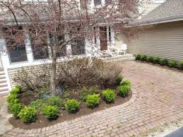 Boxwood Winter Gem 3 gal.