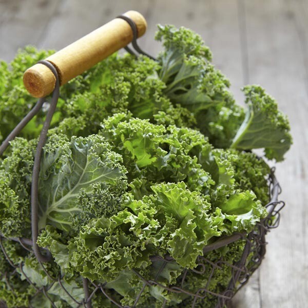 Kale Ripbor Organic 6-Pack