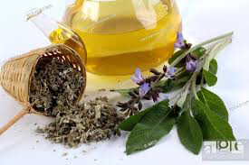 Sage Berggarten Organic