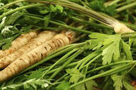 Parsley Curled Organic