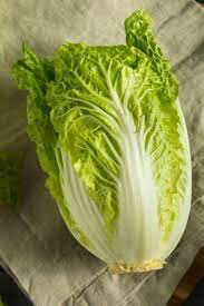 Cabbage Minute Chinese Organic 6-Pack