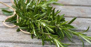 Rosemary Sal&#39;s Choice Organic