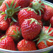 Strawberry 'Flavorfest' 1 gal.
